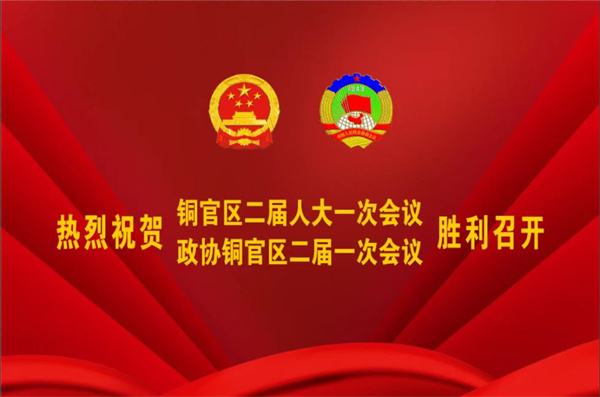 熱烈祝賀公司董事、副總經(jīng)理王從偉被選為 第二屆銅陵市銅官區(qū)政協(xié)常務(wù)委員